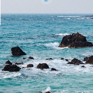 Meet your Posher, Brooklyn